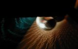 DJ Umek v 5/116