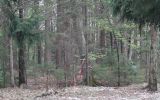 WSi Piknik 40/125