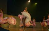 Parada Plesa 2