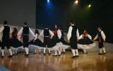 Parada Plesa 5