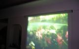Eleganza Electronica 7