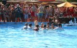 Collegium Absolvent 16
