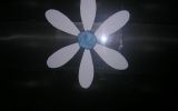 SYNAPTIC 2