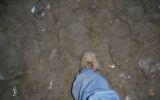 STATE OF EXIT 82/88