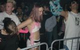 MASQUERAID 13/122