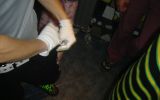 BRAINDAMAGE 3 4