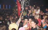 . SVEN VÄTH . WILD 8