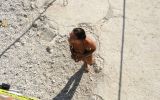 RABAC FESTIVAL 9/56