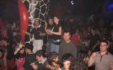 CHRIS LIEBING 31/59