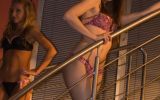 FHM PARTY 17/146