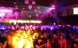 ELECTRONIC 233/235