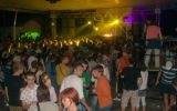 PULSE FESTIVAL 1