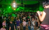 PULSE FESTIVAL 3
