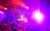 PULSE FESTIVAL 214/537