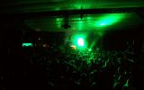 PULSE FESTIVAL 255/537