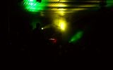 PULSE FESTIVAL 262/537