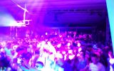 PULSE FESTIVAL 338/537