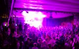 PULSE FESTIVAL 363/537