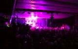 PULSE FESTIVAL 364/537