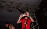 PULSE FESTIVAL 386/537