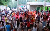 PULSE FESTIVAL 475/537