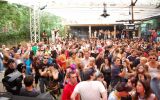 PULSE FESTIVAL 515/537