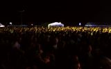 by Renato (day 2) 7