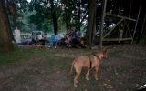 Ptuj Almighty  37/40