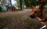 Ptuj Almighty  38/40