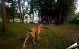 Ptuj Almighty  Vol. 6