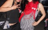 Dinamika 2010 60/82