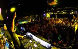 FeelFree Festival 8