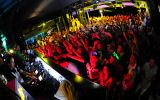FeelFree Festival 4