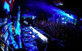 FeelFree Festival 8