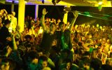 FeelFree Festival 7