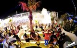 Feel Free Fest 2