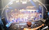 Feel Free Fest 1