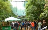 ECO Festival 105/193