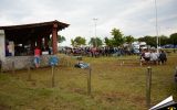 ECO Festival 2014 2