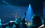 ECO FESTIVAL 2015 8