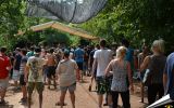 ECO 2015 - Sunday's 16