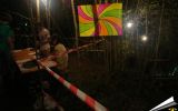 Natural Bass - 2