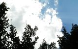 Piknik 114/227