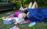 Piknik 206/227