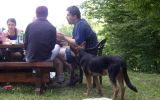 Piknik 4