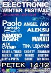 ELECTRONIC WINTER FEST (1)