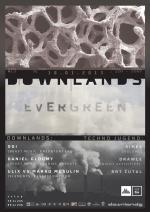 DOWNLANDS: EVERGREEN (1)