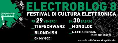 Electroblog 2013 (1)